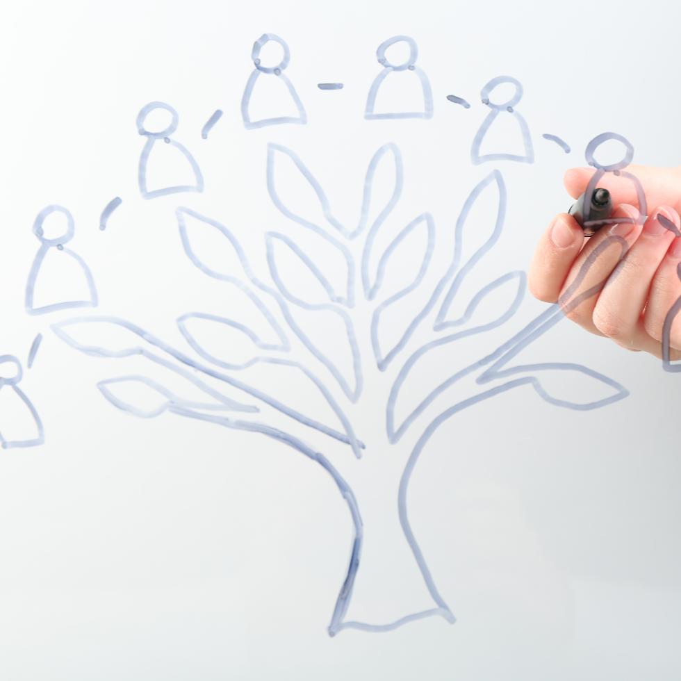 ¿Cuál es el paso a paso de un proceso de sucesión en Colombia?